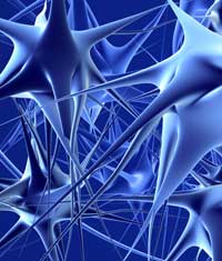 Neuromarketing: Auf der Suche nach dem Kaufknopf im Gehirn!
